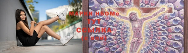 гашик Нефтекумск