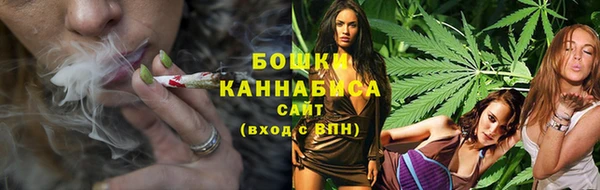гашик Нефтекумск