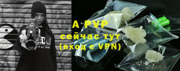 гашик Нефтекумск